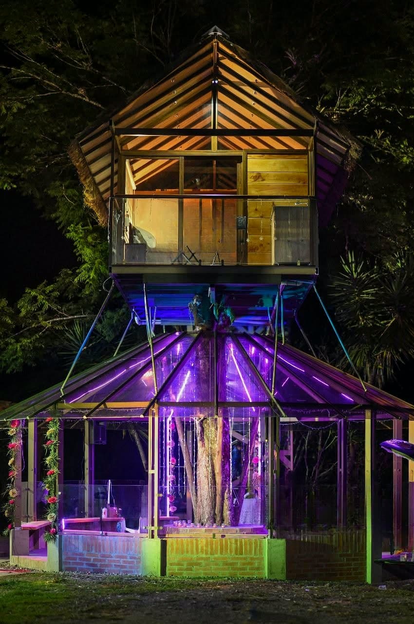 Casa en el árbol iluminada de noche, con balcón en vidrio, sobre un kiosco en vidrio construido alrededor del tronco.